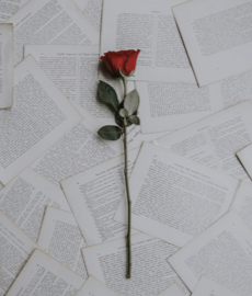 Las cartas de amor más bellas de la historia 