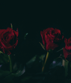 El arte de besar o cómo saber besar