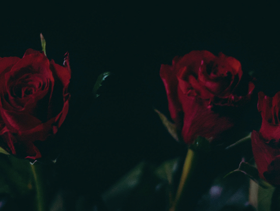 El arte de besar o cómo saber besar