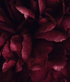 Hablemos de las musas y las mujeres en el arte