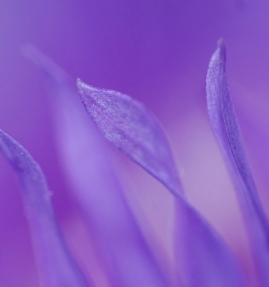 Sisterhood: las amistades más bellas de mujeres famosas