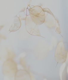 ¿Por qué a veces insistimos en alguien que no está disponible emocionalmente?