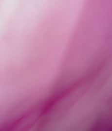 Octubre Rosa: Amor propio y prevención