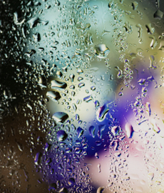 Cómo decir no en el amor sin culpa ni miedo