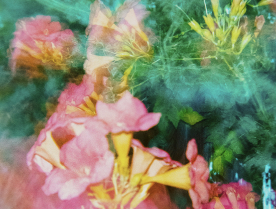 Secretos de amor sin filtro: el arte de amar en tiempos reales